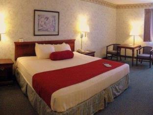 Best Western Executive Inn- Mount Gilead Pulaskiville Rom bilde